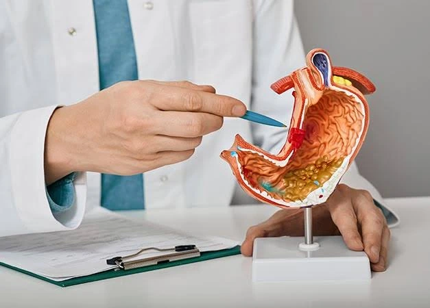 What Services Can a GI Doctor Offer Beyond Routine Checkups? Services Can a GI Doctor Offer Beyond Routine Checkups