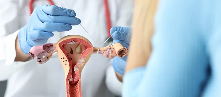 Gynecologists Support
